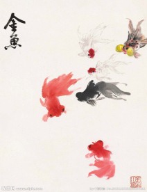 金鱼
