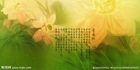莲花水墨画