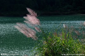 川东风情