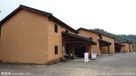 茅坪