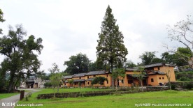 茅坪