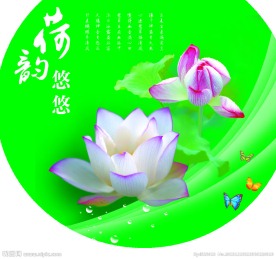 荷花图片