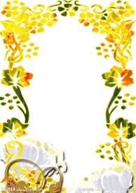 精美花纹边框