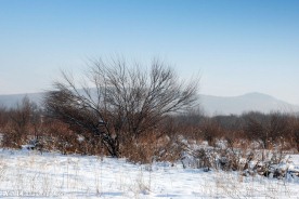 根河冬天野外雪景