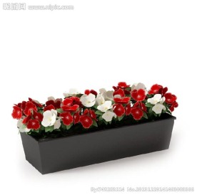 盆栽 优秀盆栽模型