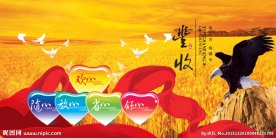 麦田