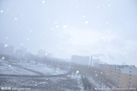 冬日的雪