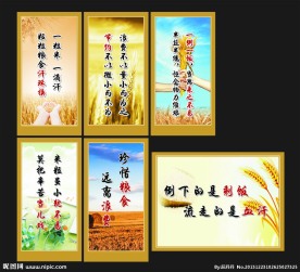 节约粮食