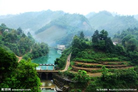 青山绿草小水坝