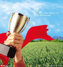 丰收的麦田