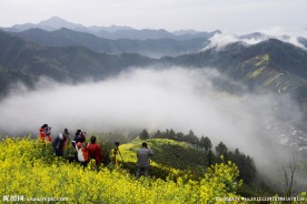 青山 绿水