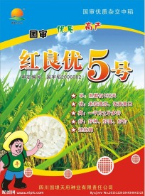 水稻宣传单页