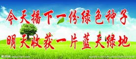 学校展板 双庙