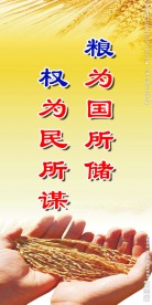 节约粮食