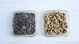 瓜子与花生