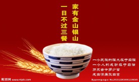 节约粮食
