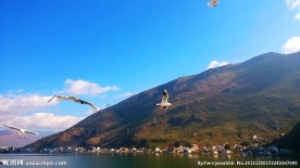 大理 洱海
