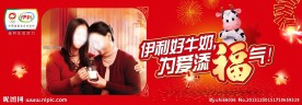 伊利牛奶元素