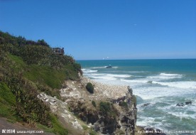 新西兰鸟岛风景