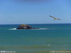 新西兰鸟岛风光
