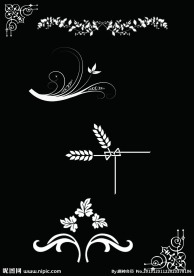 边框花纹素材