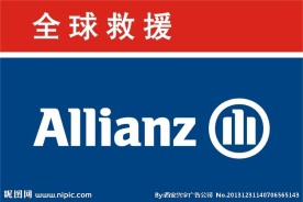 全球救援标识