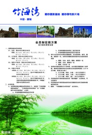 竹海湾 海报