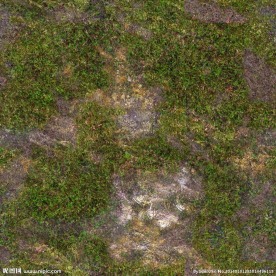 高清地表 山体表面