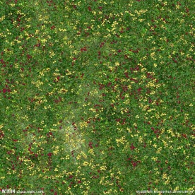 高清地表草地牧场