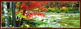 风景