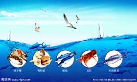 海产品 海报