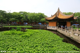 普陀山普济禅寺