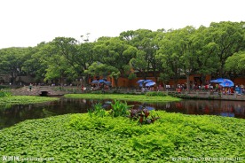 普陀山普济禅寺