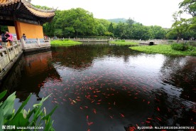 普陀山普济禅寺