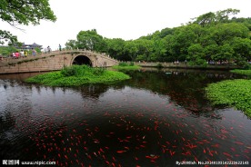 普陀山普济禅寺