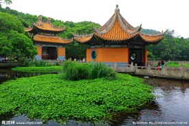 普陀山普济禅寺