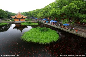普陀山普济禅寺