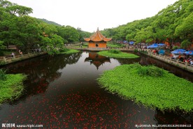 普陀山普济禅寺