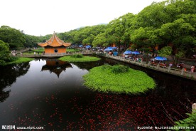 普陀山普济禅寺