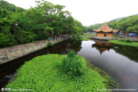 普陀山普济禅寺