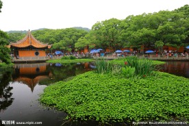 普陀山普济禅寺