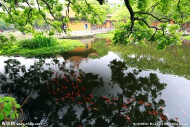 普陀山普济禅寺