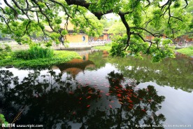 普陀山普济禅寺