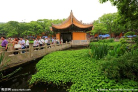 普陀山普济禅寺