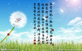 纪晓岚书禅语诗