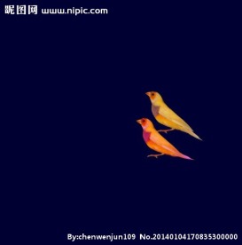 两只鸟