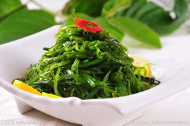 裙带菜