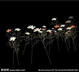 植物