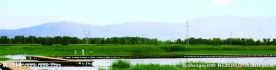 甘肃张掖湿地风光