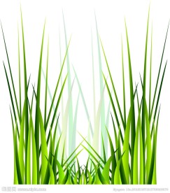 绿草